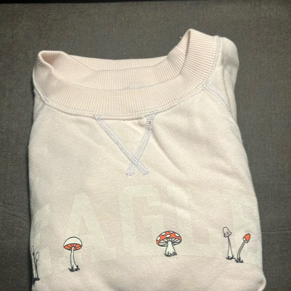 Pink, Small, American Eagle sweatshirt with mushrooms.